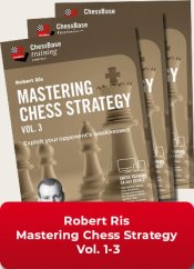 Mastering Chess Strategy Vol.1-3, Robert Ris (English)