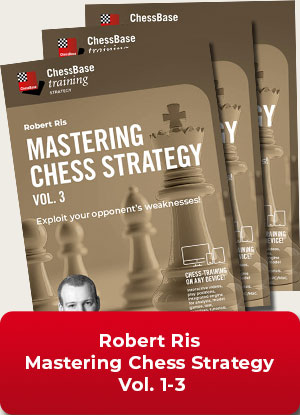 Mastering Chess Strategy Vol.1-3, Robert Ris (English)