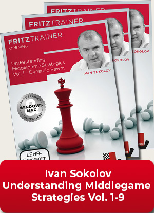 Understanding Middlegame Strategies Vol.1 - 9, Ivan Sokolov (English)