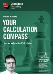Your Calculation Compass: Know When to Calculate, David Navara (English)