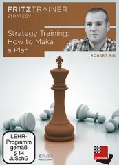 Strategy Training: How to Make a Plan, Robert Ris (English)