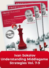 Understanding Middlegame Strategies Vol.7 - 9, Ivan Sokolov (English)