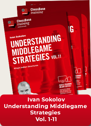 Understanding Middlegame Strategies Vol.1 - 11, Ivan Sokolov (English)